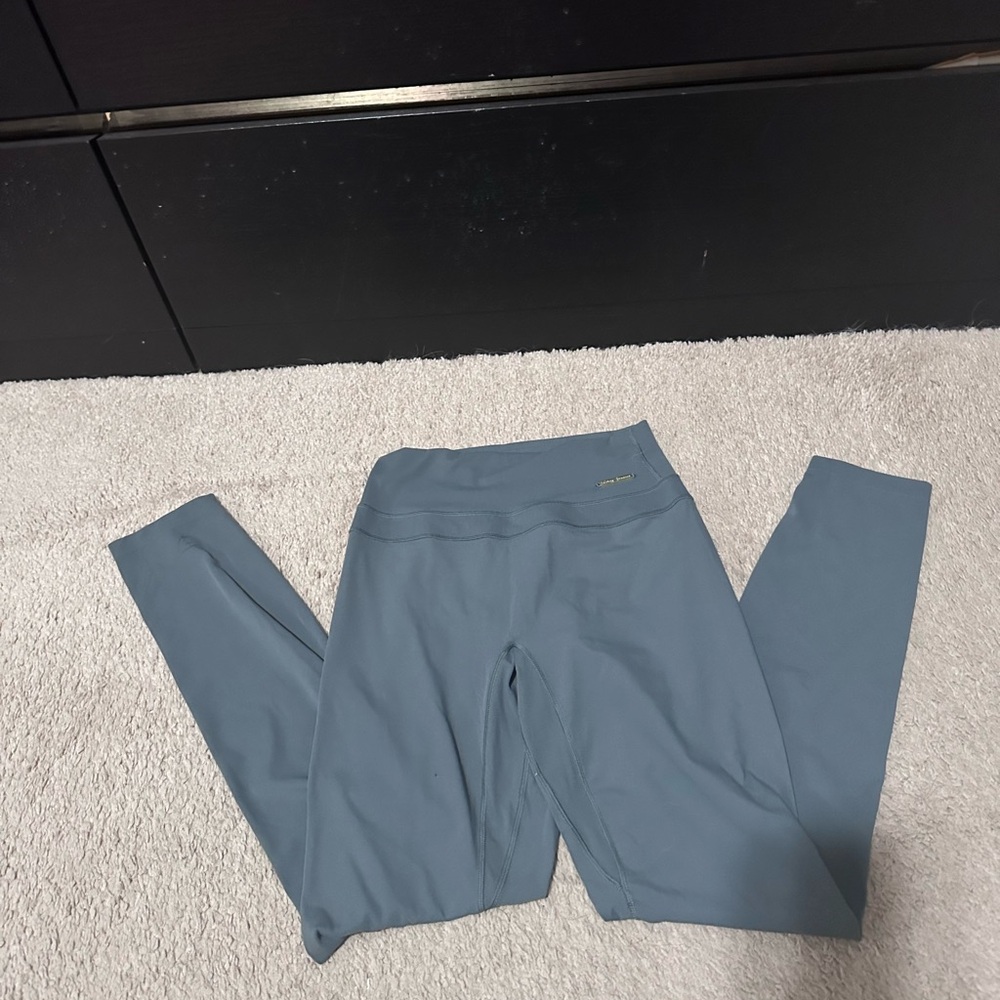 Whitney Simmons v2 gymshark leggings